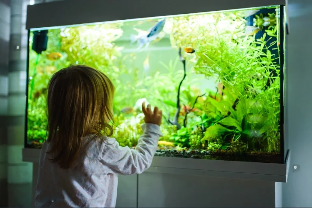 An Aquarium for Hyperactive Kids